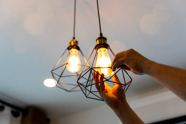 Best Home Electrical Repair  in Carthage, IL