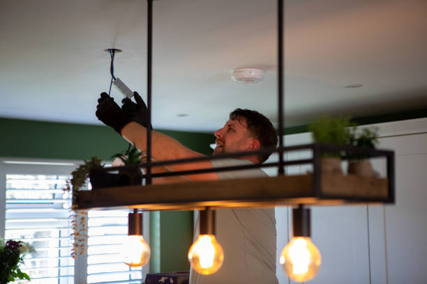 Best Ceiling Fan Installation Electrician  in Carthage, IL
