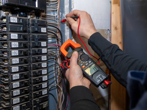 Best Electrical System Inspection  in Carthage, IL