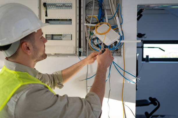 Best Electric Panel Repair  in Carthage, IL